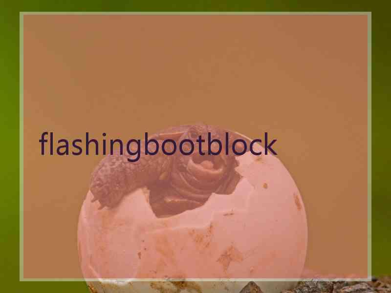 flashingbootblock