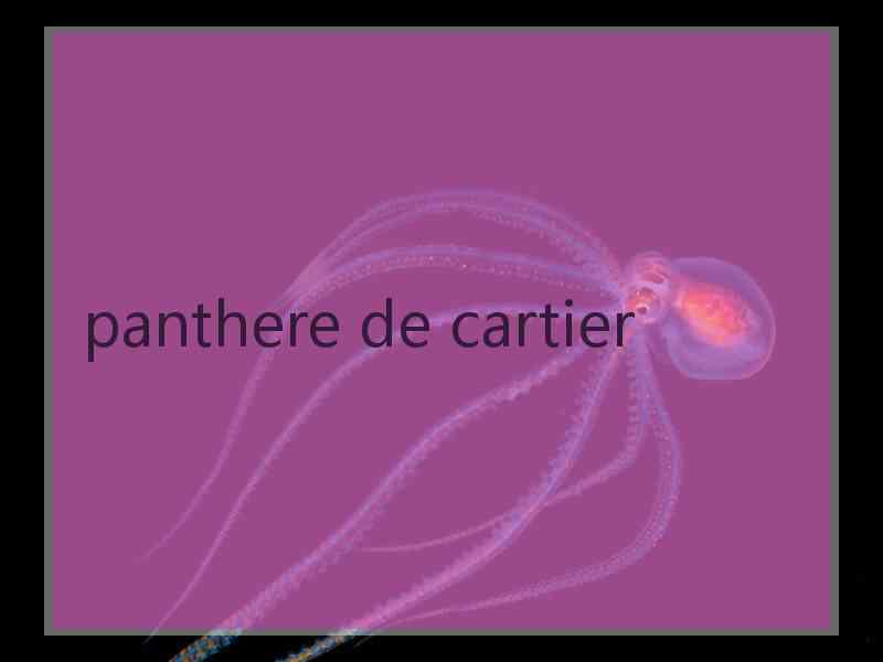 panthere de cartier