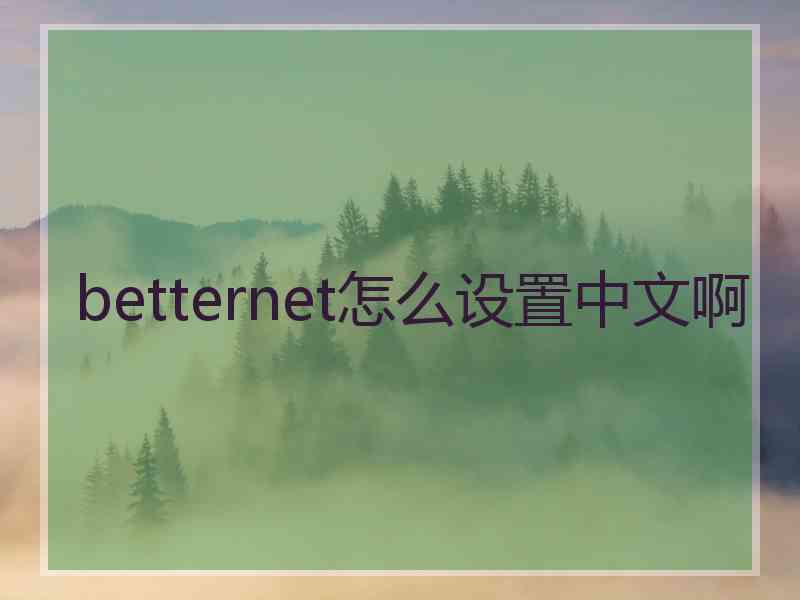 betternet怎么设置中文啊