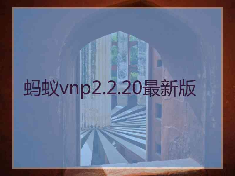 蚂蚁vnp2.2.20最新版