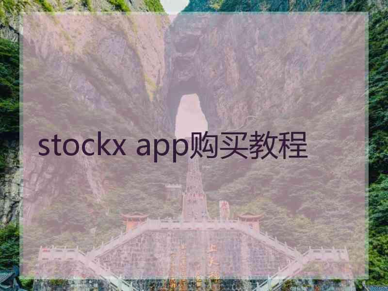 stockx app购买教程