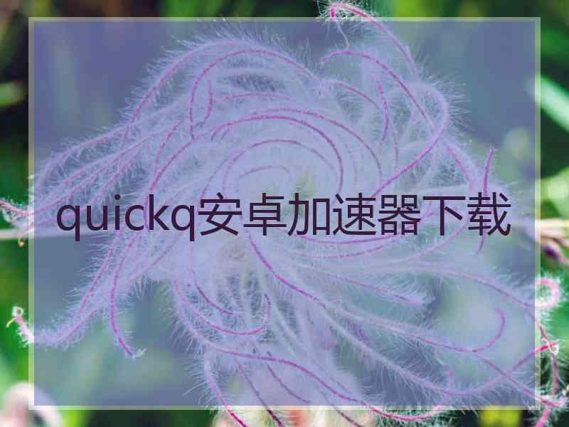 quickq安卓加速器下载