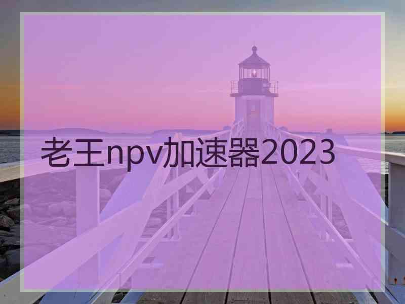 老王npv加速器2023