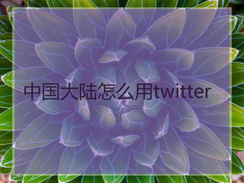 中国大陆怎么用twitter