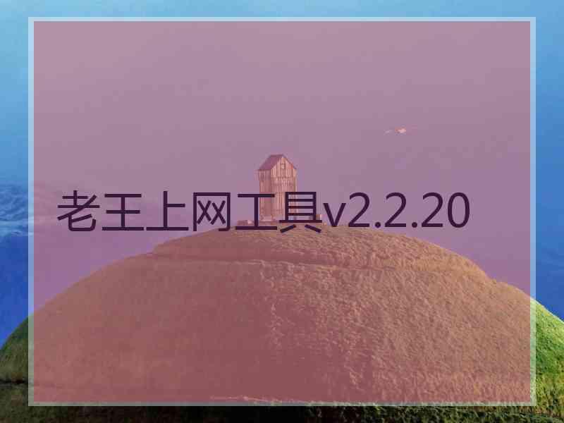 老王上网工具v2.2.20