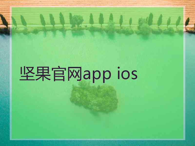 坚果官网app ios