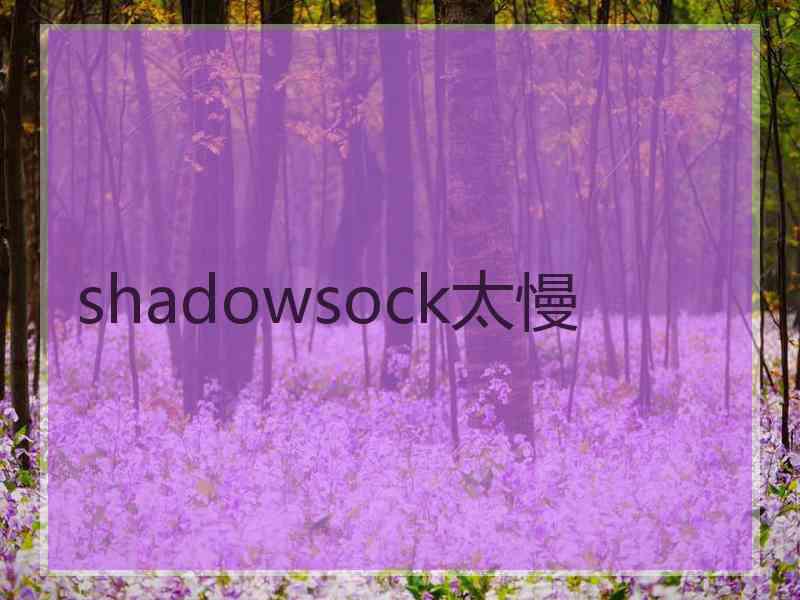 shadowsock太慢