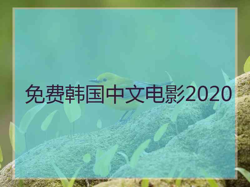 免费韩国中文电影2020