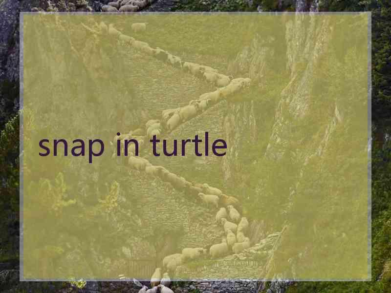 snap in turtle