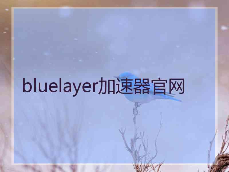 bluelayer加速器官网