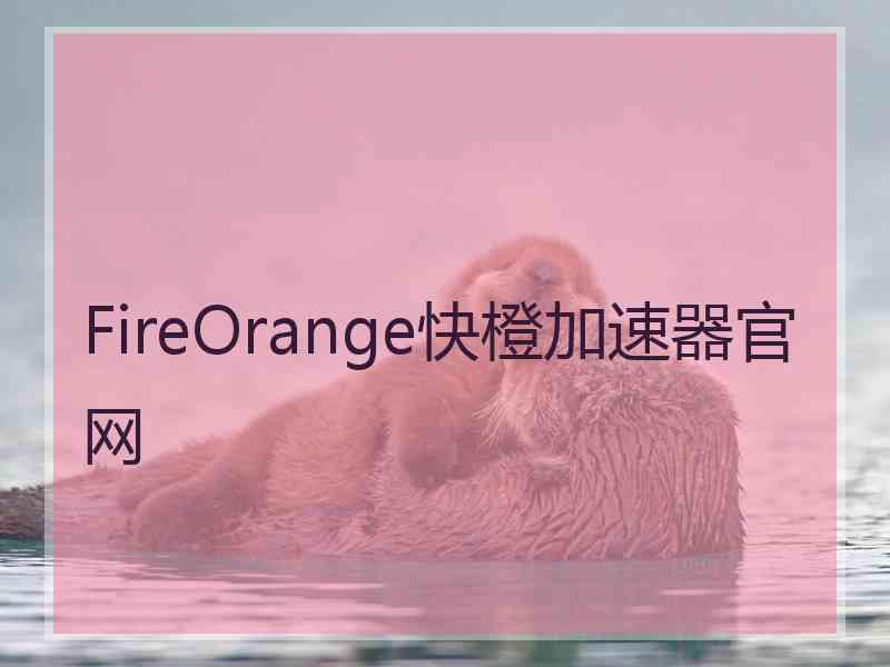FireOrange快橙加速器官网