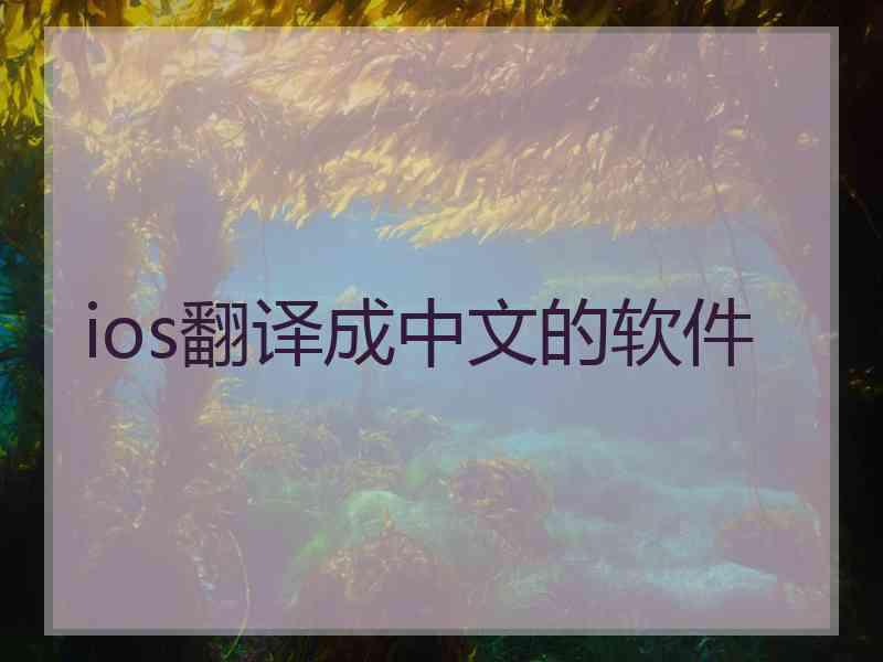 ios翻译成中文的软件