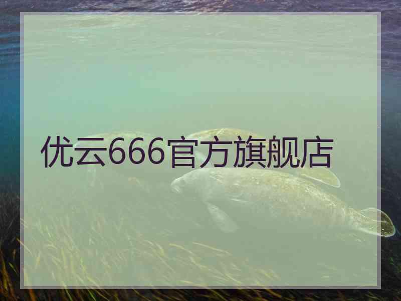 优云666官方旗舰店