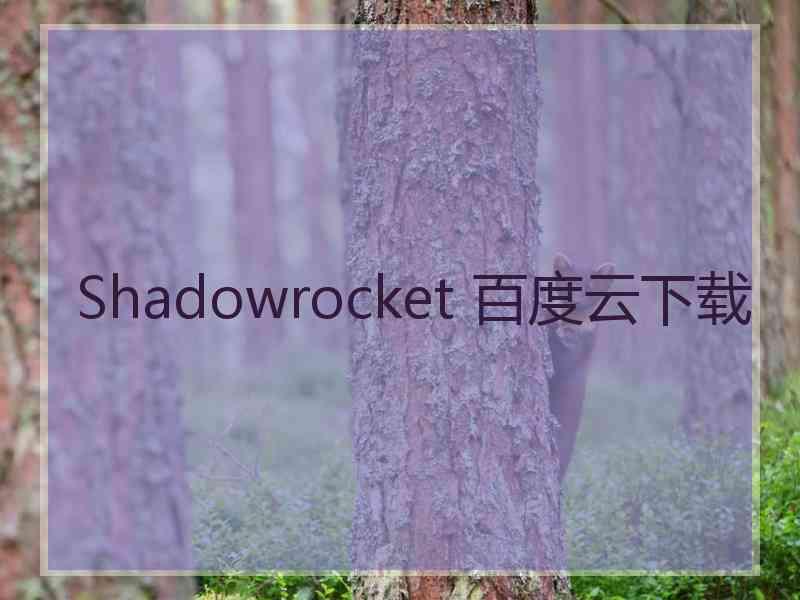 Shadowrocket 百度云下载