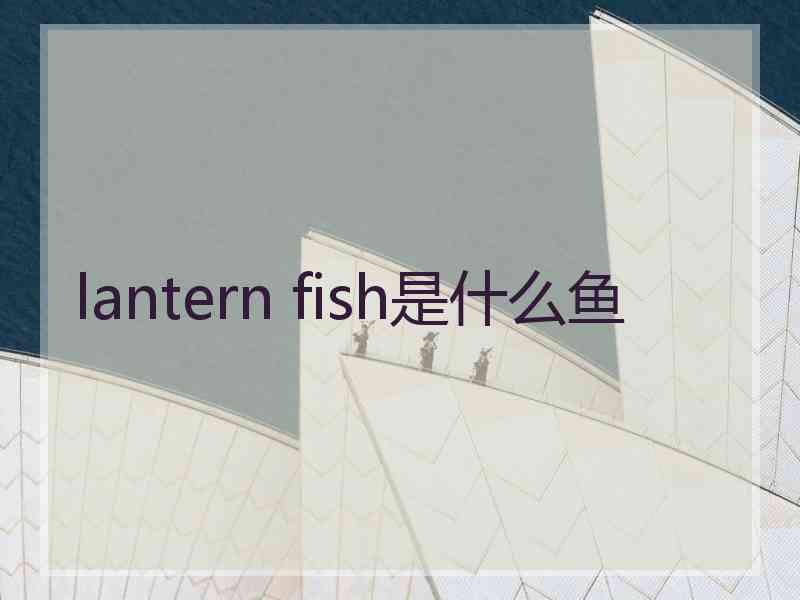 lantern fish是什么鱼