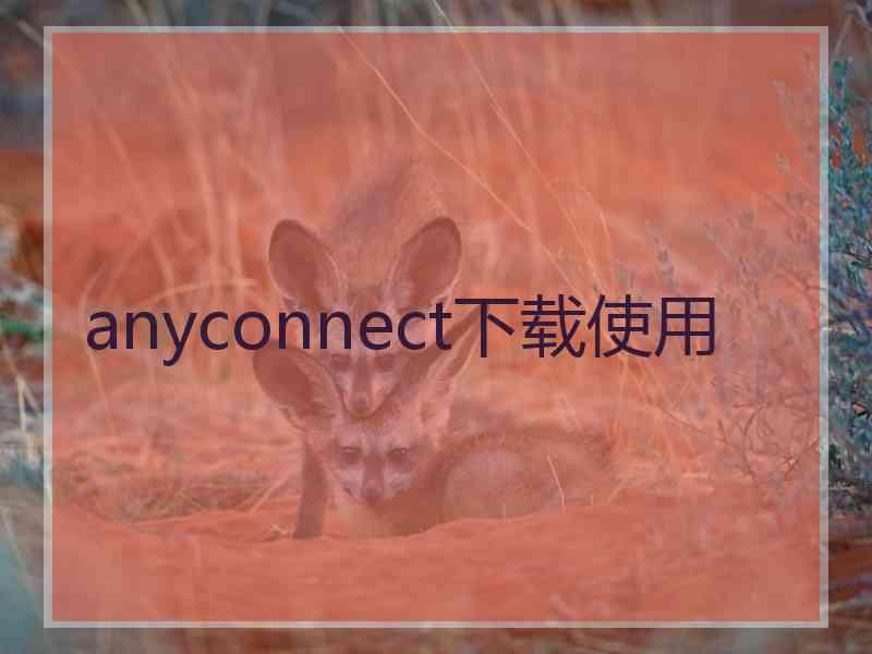 anyconnect下载使用