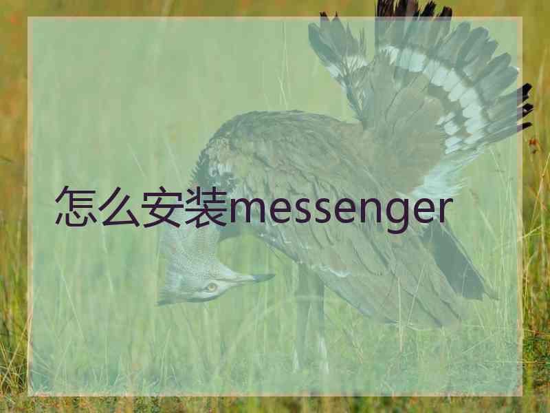 怎么安装messenger