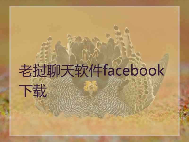 老挝聊天软件facebook下载