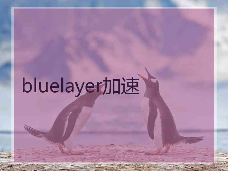 bluelayer加速