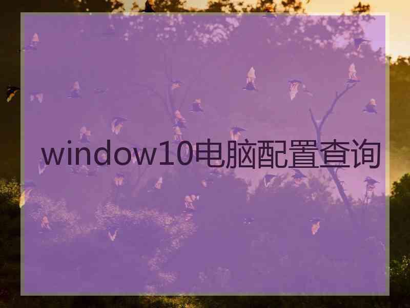 window10电脑配置查询