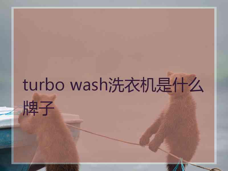 turbo wash洗衣机是什么牌子