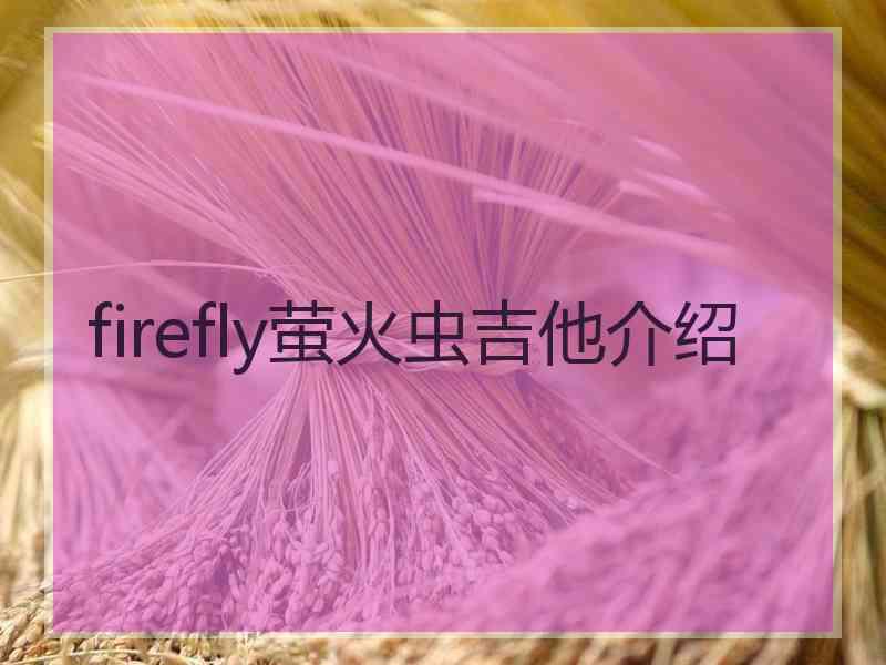 firefly萤火虫吉他介绍