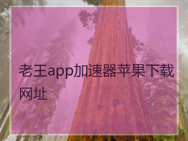 老王app加速器苹果下载网址