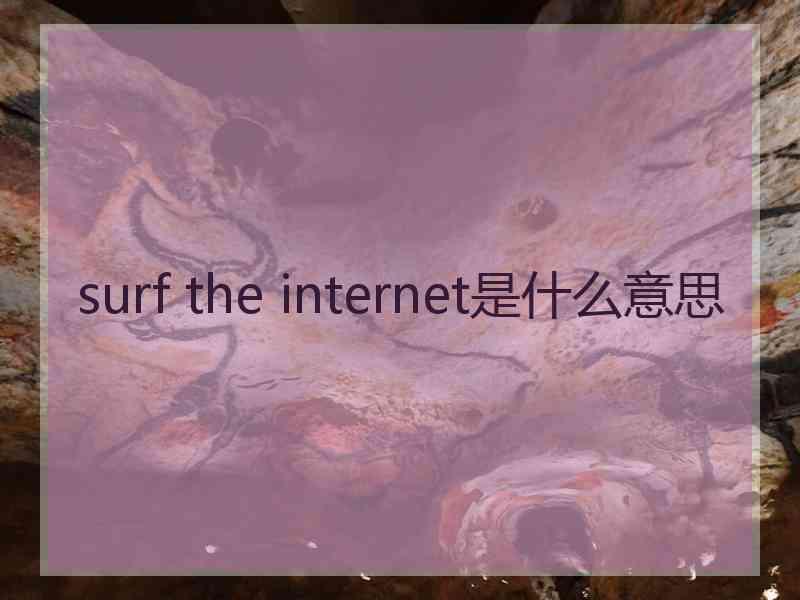 surf the internet是什么意思