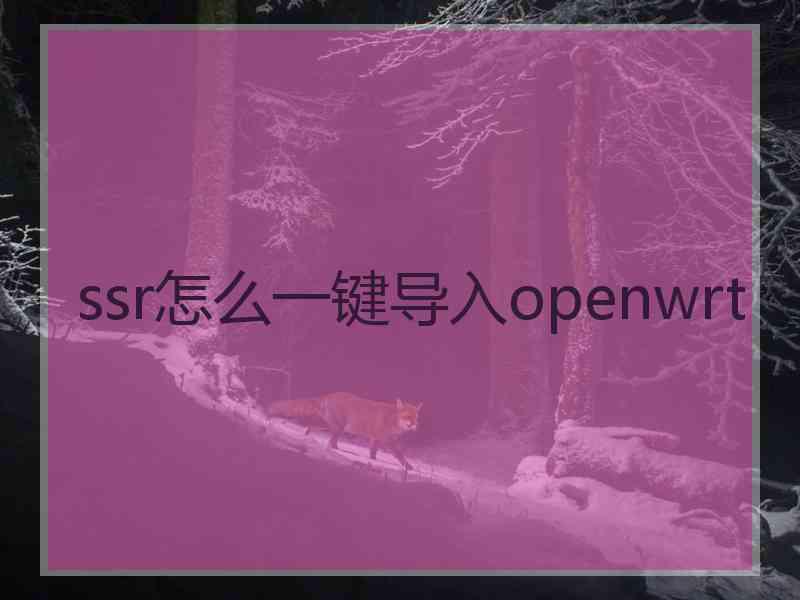 ssr怎么一键导入openwrt