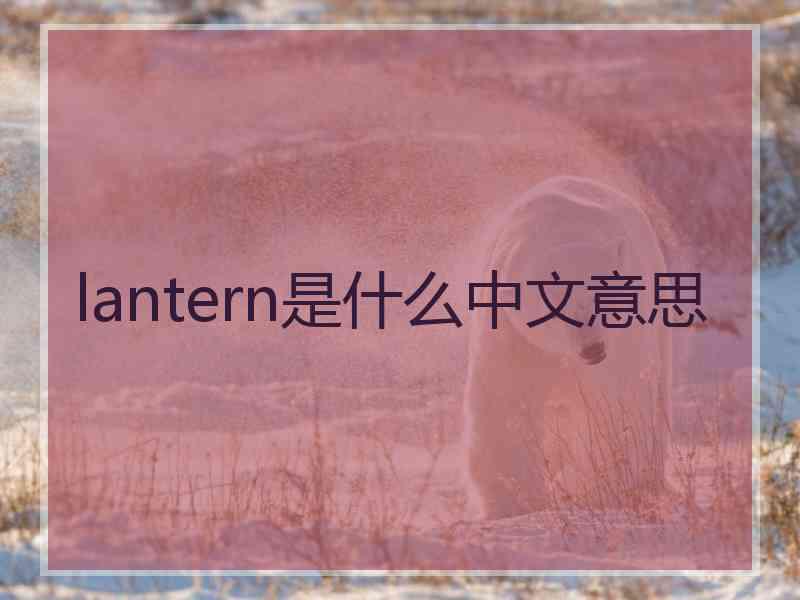 lantern是什么中文意思