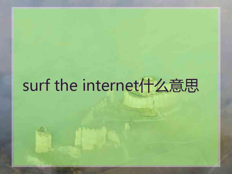 surf the internet什么意思