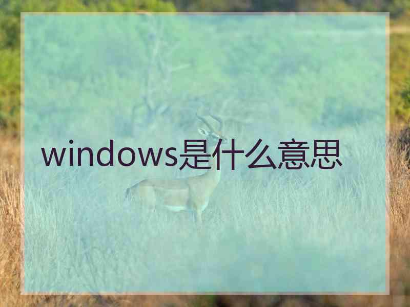 windows是什么意思