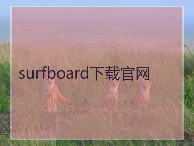 surfboard下载官网