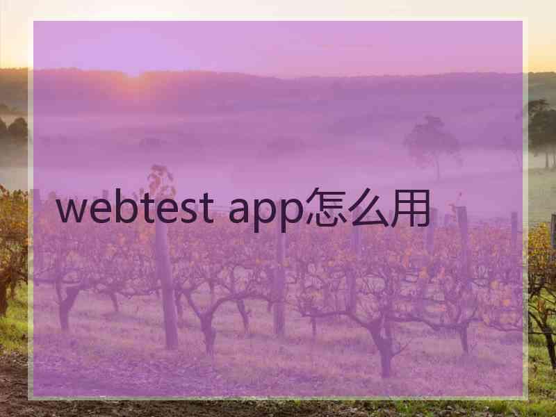 webtest app怎么用