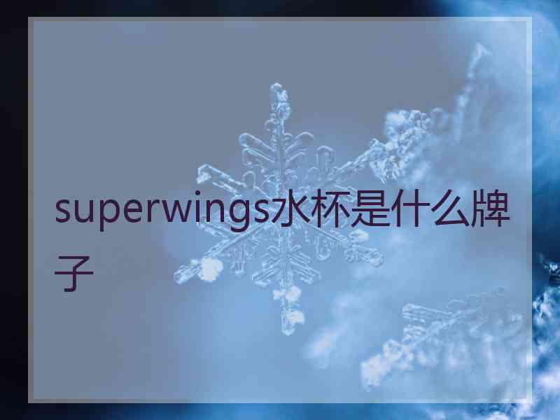 superwings水杯是什么牌子