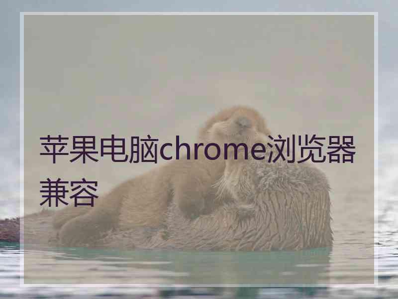 苹果电脑chrome浏览器兼容