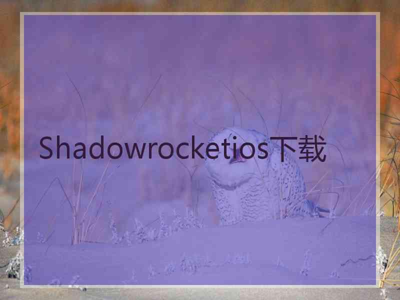 Shadowrocketios下载