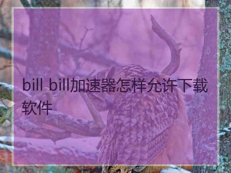 bill bill加速器怎样允许下载软件