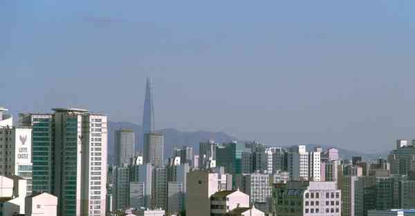 安卓手机改ip地址软件