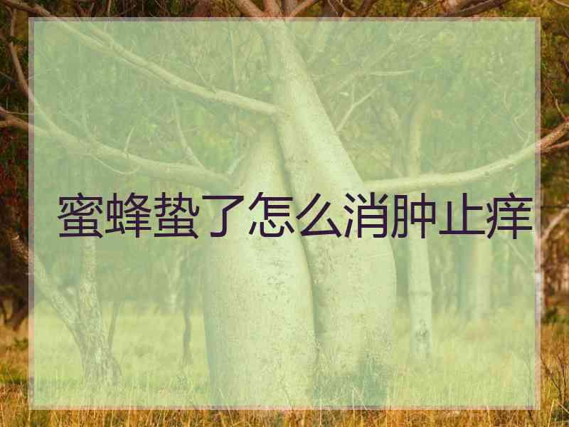 蜜蜂蛰了怎么消肿止痒
