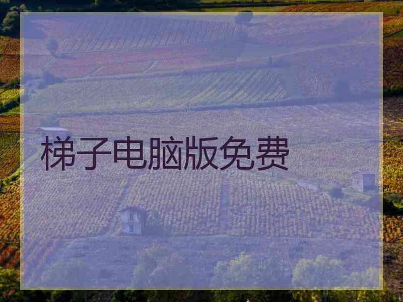 梯子电脑版免费