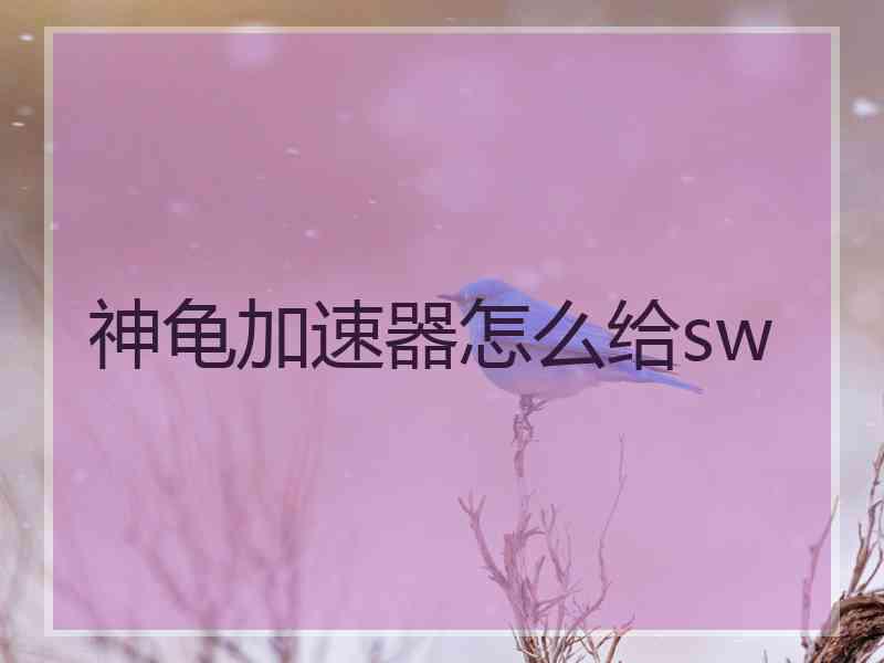 神龟加速器怎么给sw