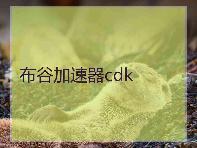 布谷加速器cdk