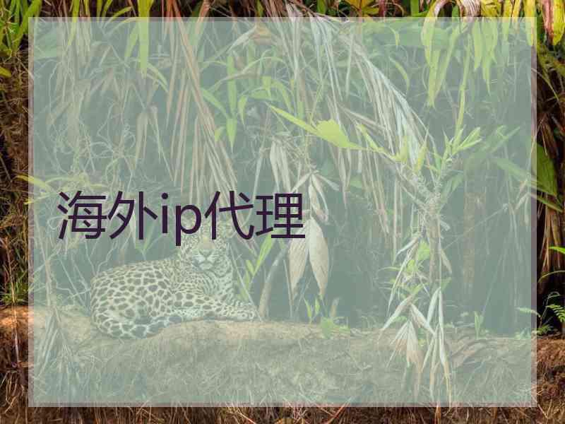 海外ip代理