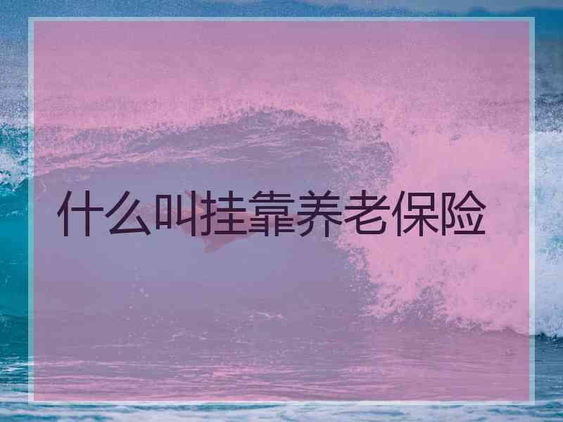 什么叫挂靠养老保险