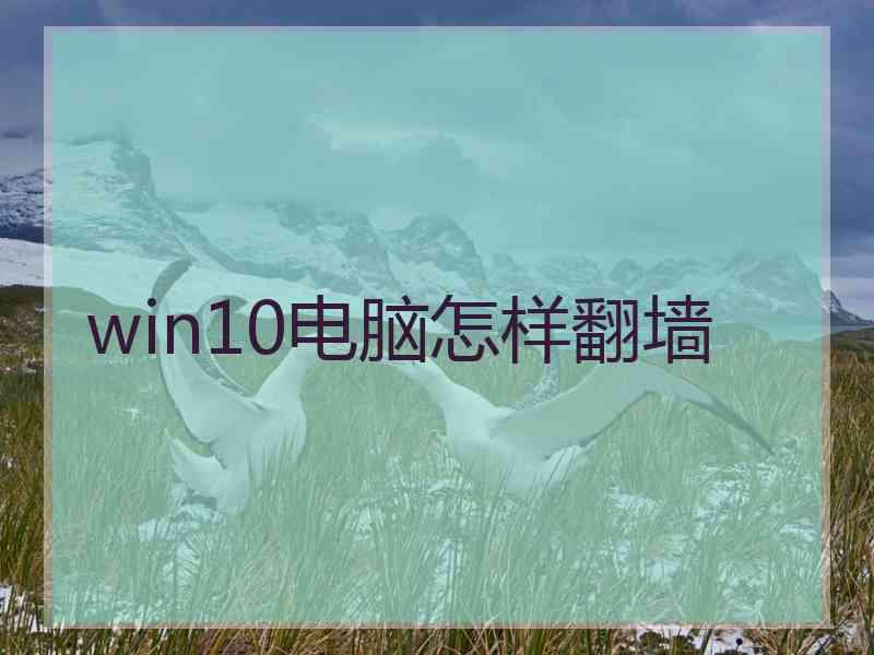 win10电脑怎样翻墙