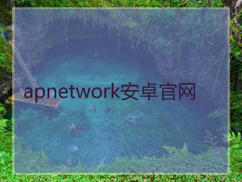 apnetwork安卓官网