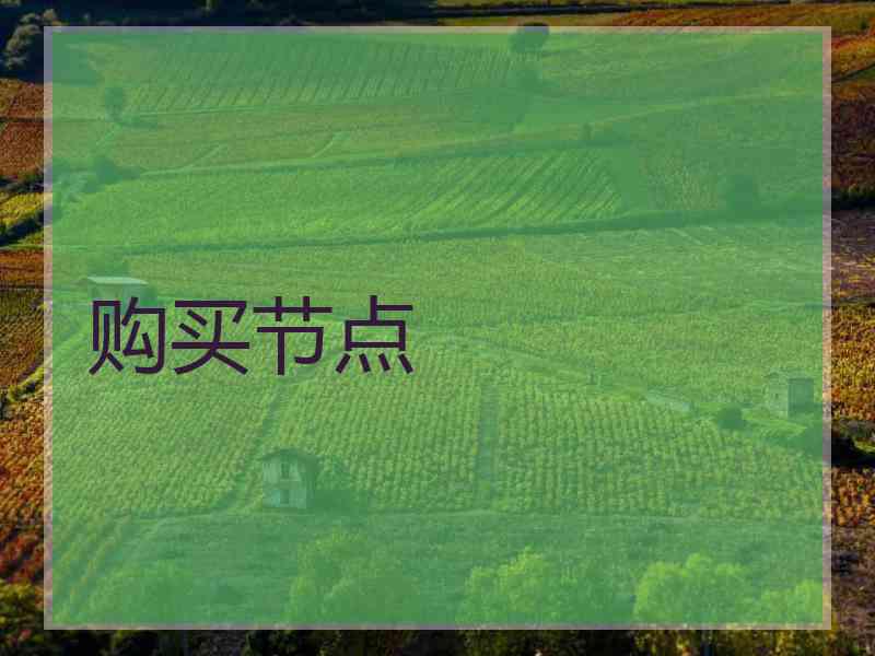 购买节点
