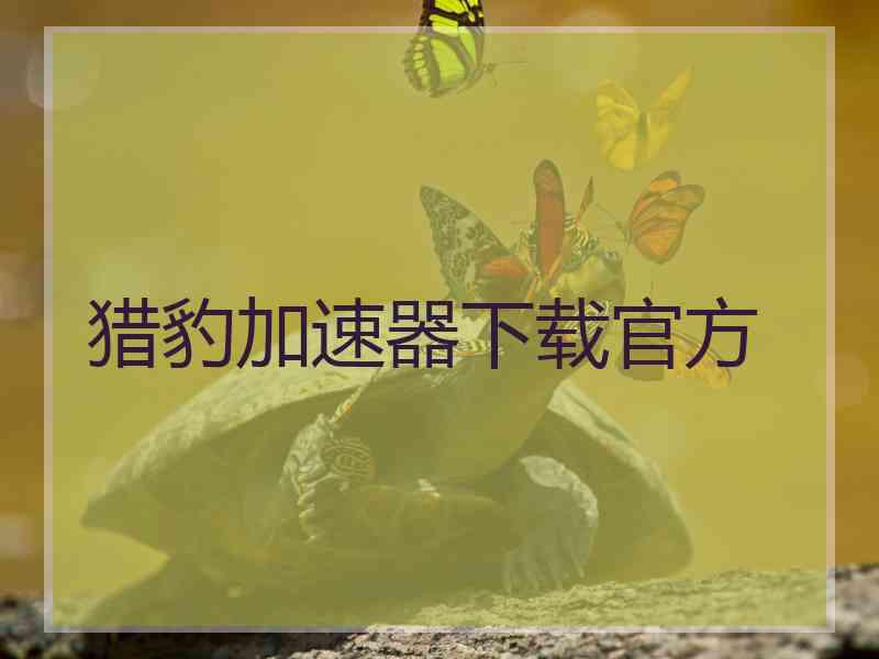 猎豹加速器下载官方