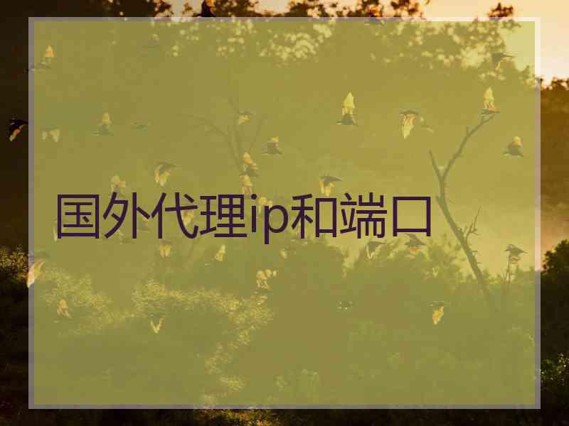 国外代理ip和端口